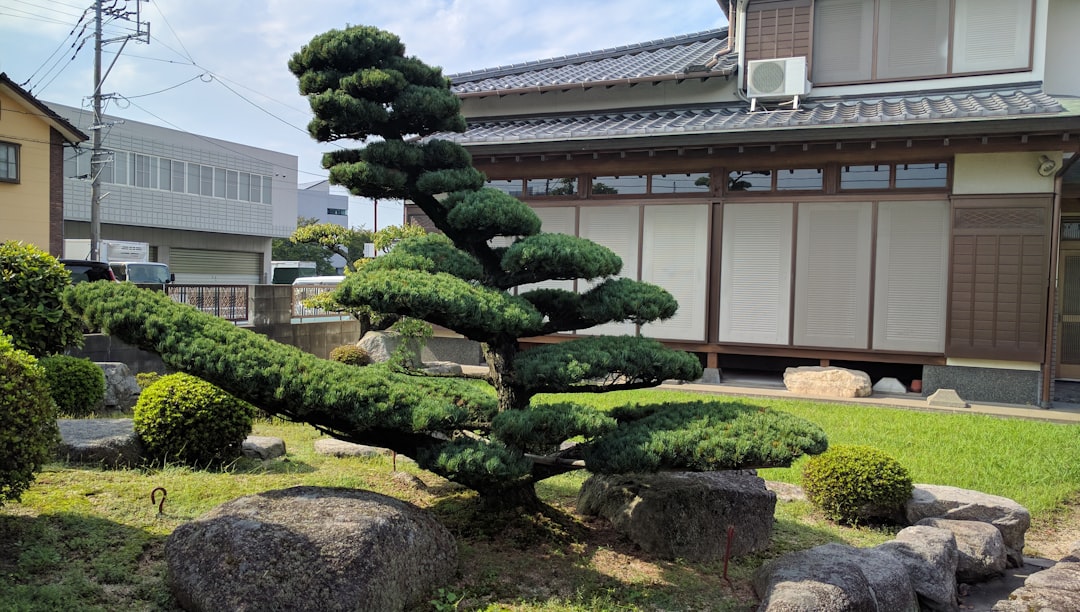 一松旬