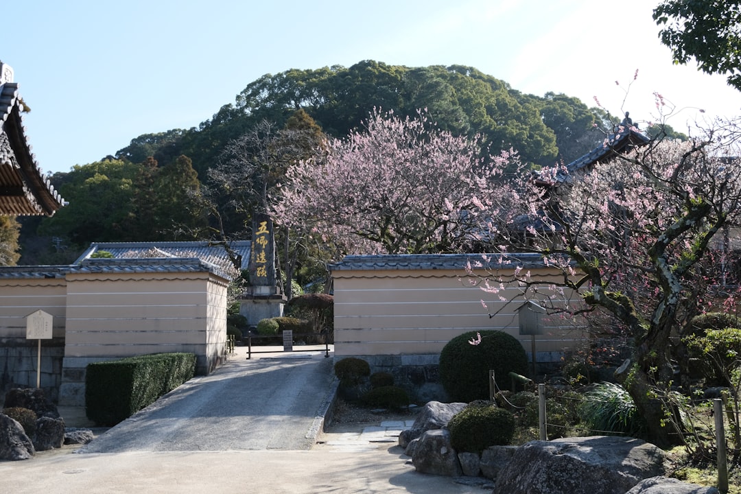 重岡大毅