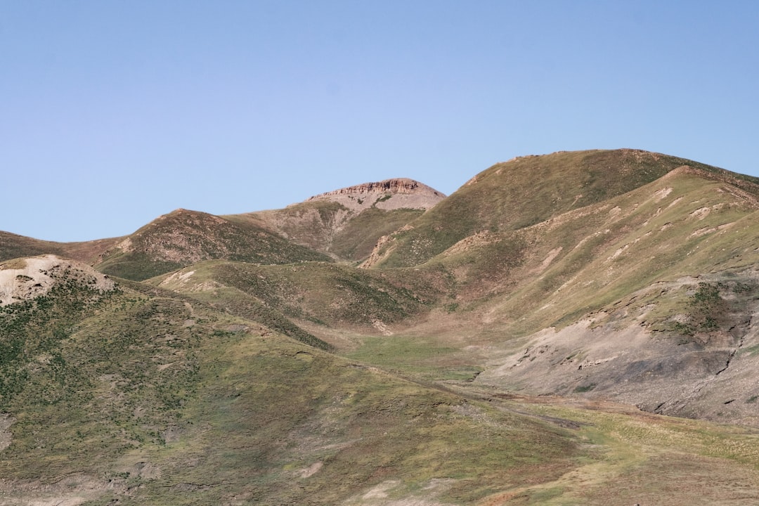 智弁和歌山