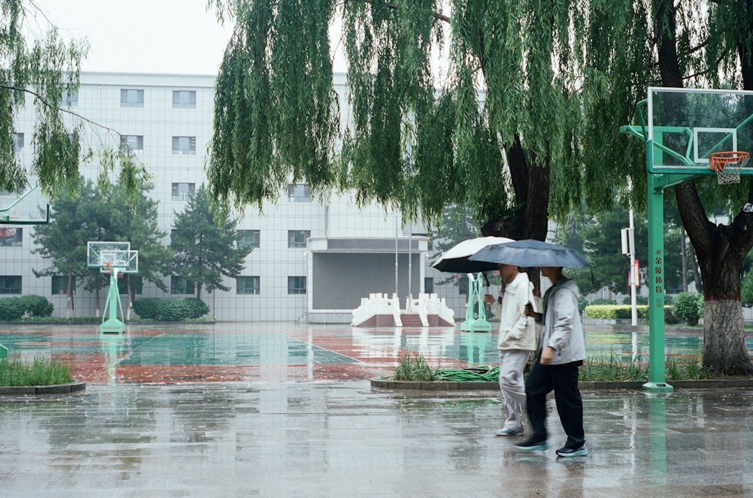 台風気象情報、台風第15号