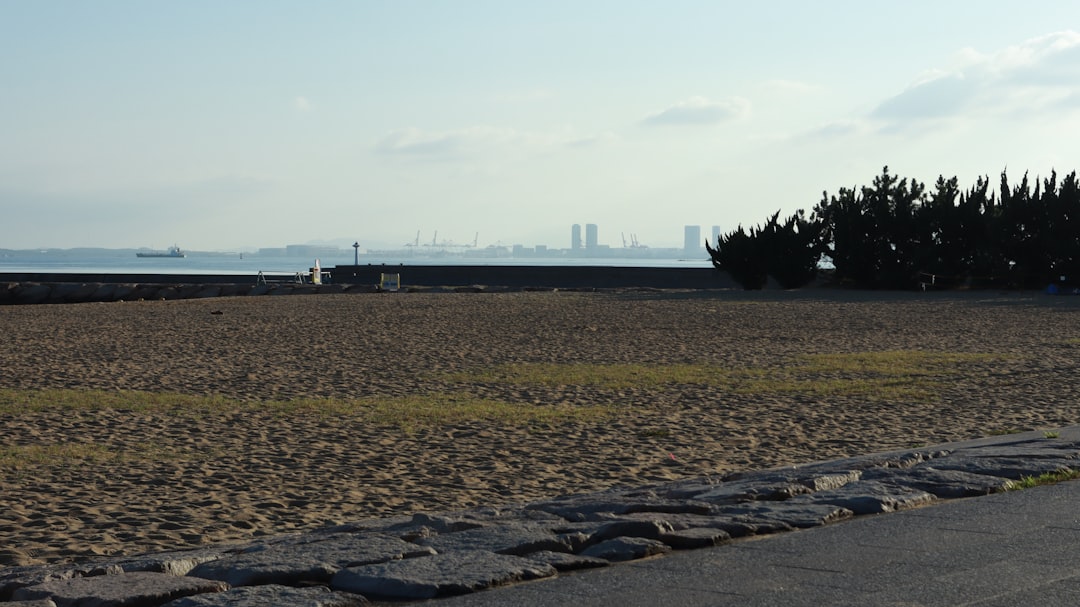 横浜fm 対 鹿島