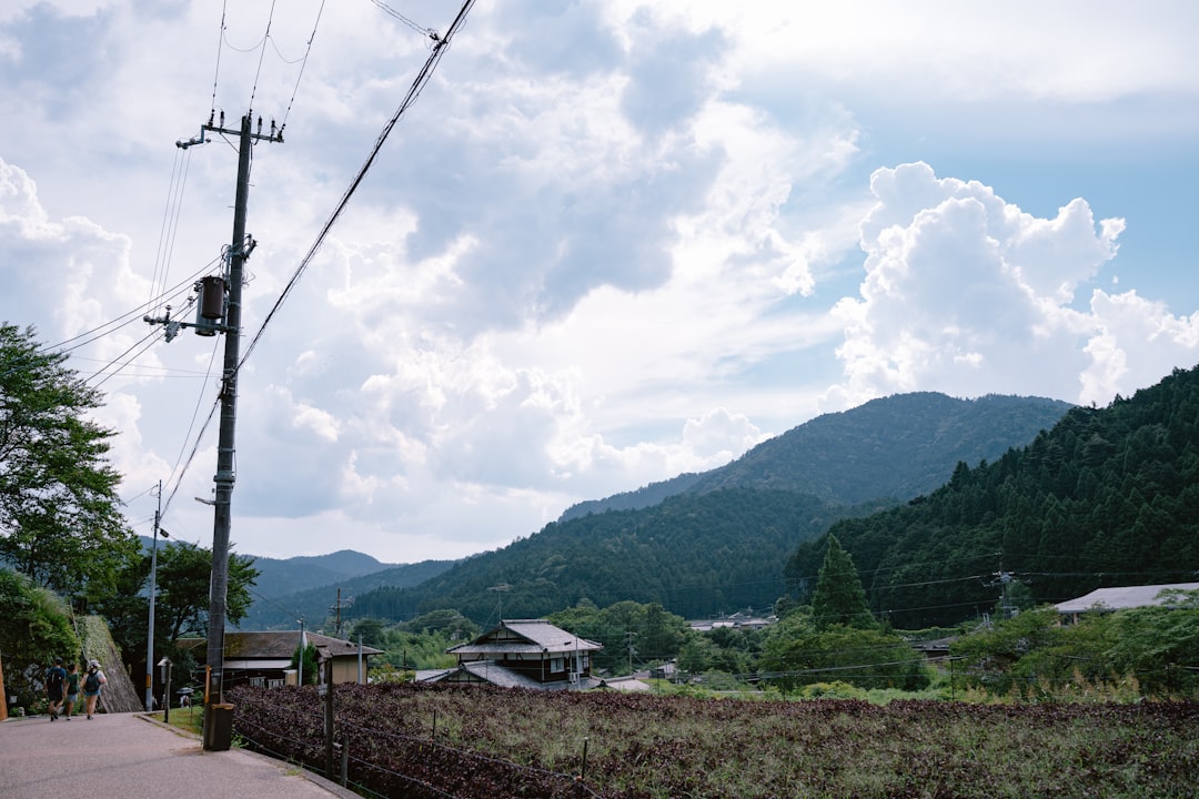 東日大昌平