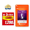 【期間限定18%OFF】ガジュツ 紫ウコン うこん 粒（約3ヶ月分）サプリメント サプリ 3粒あたり 紫うこん 630mg オーガランド 紫うこん ウコン ビタミン アズレン ダイエット 健康 美容 送料無料