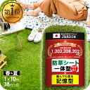 ■6/26迄 お買い物マラソン■ 人工芝 芝丈38mm 30mm 20mm 密度1.9倍 1mx10m 送料無料 防草 芝生 人工芝生 人口芝 防草シート 人工芝リアル ガーデニング ガーデン ベランダ バルコニー 屋上 テラス ロール ピン